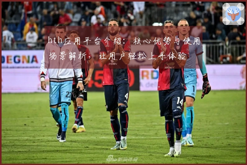 hth应用平台介绍：核心优势与使用场景解析，让用户轻松上手体验